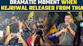 When Arvind Kejriwal Waved To Sea Of Supporters Waiting For Delhi CM's Release | Watch Viral Moment