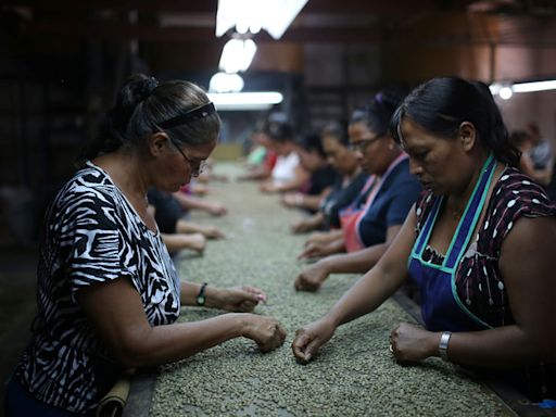 Produção de café da Indonésia deve se recuperar em 2024/25, diz USDA Por Reuters