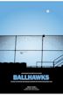 Ballhawks