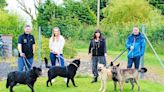 Scots dog rescuers reunited with abandoned pups dumped on road