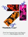 Rabbit, Run (film)