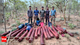 Task force arrests one smuggler and recovers 18 red sanders logs in Annamayya district | India News - Times of India