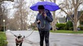 Sacramento temps are about to plummet as rain moves into region. How much will we get?