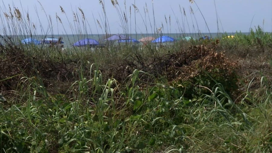 VIDEO: Myrtle Beach crews investigating after dunes fire