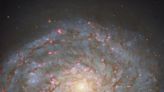 Hubble Captures a Bright Spiral in the Queen’s Hair - NASA Science