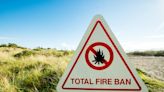 Gov. Kay Ivey issues statewide burn ban, goes into effect Thursday