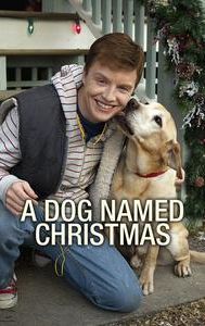 A Dog Named Christmas