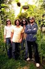 The Sheepdogs