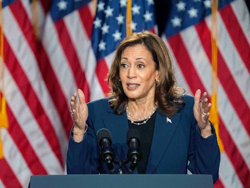 Kamala Harris vows US not going back to ‘chaos’ of Trump years in roaring Wisconsin speech | World News - The Indian Express