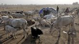 Un grupo armado de Chad mata a 17 pastores nómadas sudaneses