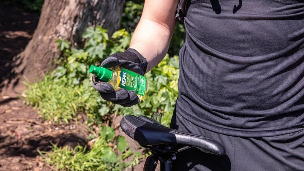 Avoid itchy bug bites with these organic repellents
