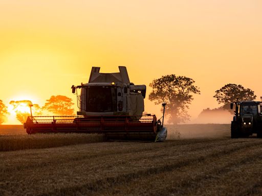 Farming most dangerous occupation in UK, figures show