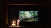 Conservation photographer Carlton Ward Jr. speaks to Garden Club of Palm Beach