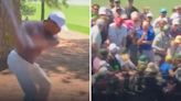 Tiger Woods appears to hit unfortunate fan on the head with wayward shot