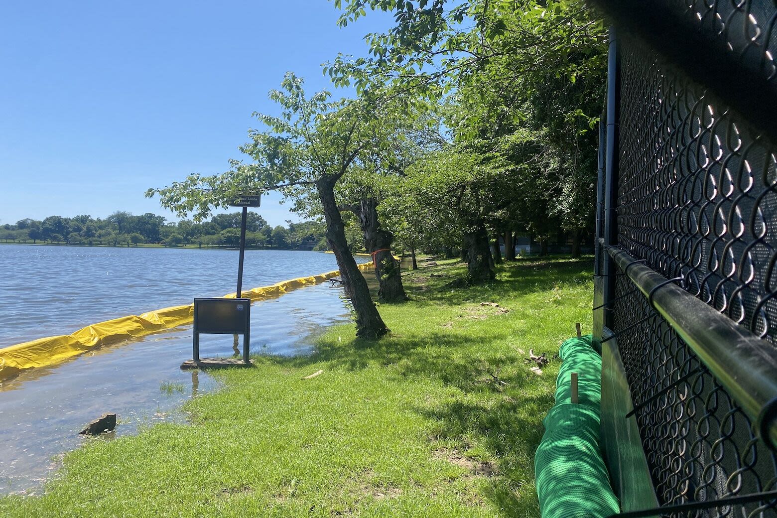 How will the upcoming restoration project affect the Tidal Basin this summer - WTOP News