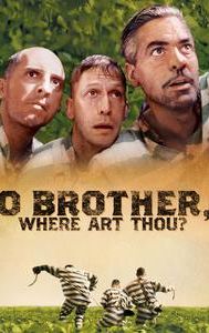 O Brother, Where Art Thou?