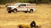 Firefighters helped by cooler weather battle blaze that has scorched area size of Los Angeles