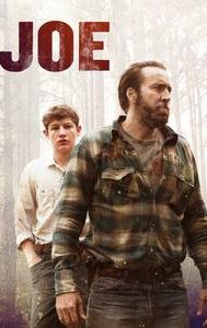 Joe (2013 film)