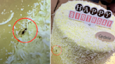 Cedele apologises after customer finds live cockroach crawling on boxed Ondeh Ondeh cake bought from Waterway Point outlet