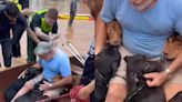 Hombre arriesga su vida para salvar a sus perritos de las inundaciones, en Brasil