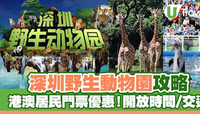 深圳野生動物園攻略｜港澳居民門票優惠！園區開放時間/交通 | U Travel 旅遊資訊網站