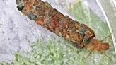 Nature Notes: Underwater architects — caddisfly larvae and their unique homes - Austin Daily Herald