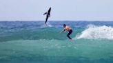 El asombroso momento en que un tiburón blanco salta detrás de un surfista