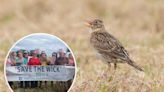 Skylark nests allegedly destroyed in the Wick - campaigners claim it relates to sale