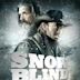 Snowblind (film)