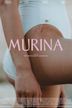 Murina