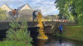 Quacking turnout for annual duck race