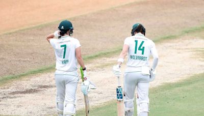 South Africa inspire with resilience even in a defeat