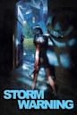 Storm Warning (2007 film)