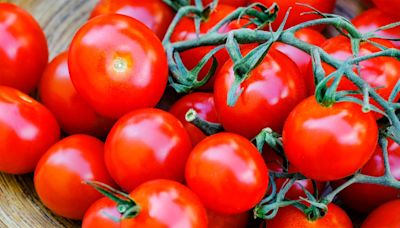 Faites ceci avant le 15 août ou dites adieu à vos tomates cerises en 2024