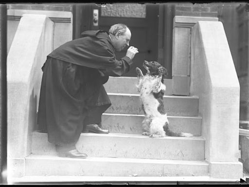 A pawsitively adorable exhibit about NYC's pets is coming to New-York Historical Society