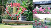 桃園楊梅觀光工廠，浪漫玫瑰花季與峇里島風情，免門票暢遊～
