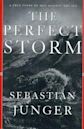 The Perfect Storm (book)