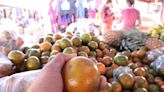 La mandarina: Un escudo natural contra infecciones