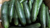 FDA, CDC now investigating cucumbers as source of nationwide Salmonella outbreak that's sent 54 to the hospital