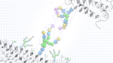 Sugary handshakes are how cells talk to each other − understanding these name tags can clarify how the immune system works