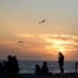 Dockweiler State Beach