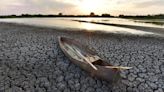 Clima: ¡Alerta! Prevén que el actual lustro sea el más caluroso de la historia