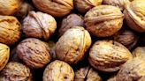 Organic walnuts sold in natural food stores tied to dangerous E. coli outbreak