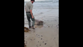Cargo from Nazi ship sunk by America during WWII is washing up on Texas beaches
