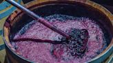 Wine Fermentation, Explained: How the Process Affects the Flavor and Texture of Your Vino