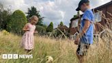 Boston residents call on councils to tackle grass cutting