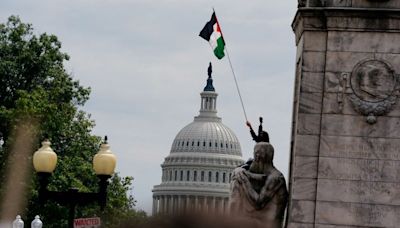 Protesters hoist Palestinian flags in Washington during Netanyahu speech