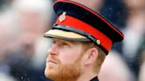 Prince Harry has done one thing that makes Nigeria trip even more dangerous