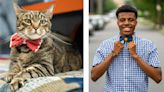 Designer makes bow ties to promote pet adoption