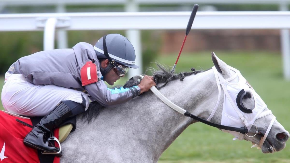 2024 Belmont Stakes horses, futures, odds, date: Expert who nailed 4 of 6 winners explains picks, predictions